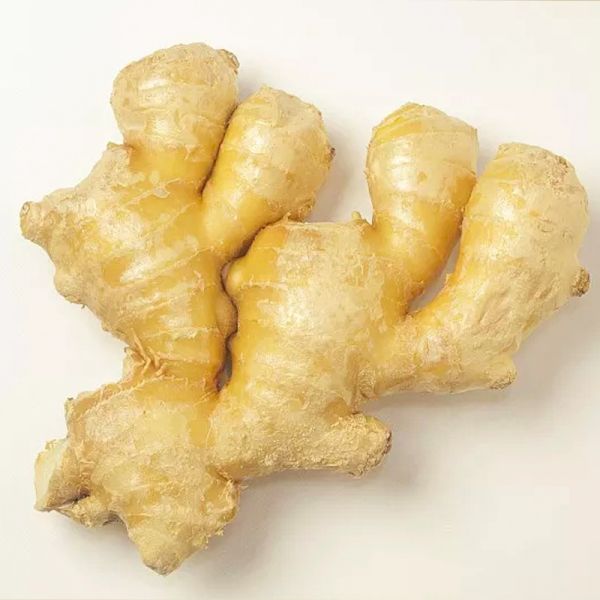High Quality New Crop Organic Fresh Ginger From China High Specification Natural