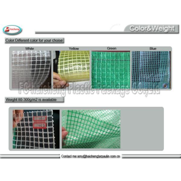 PE tarpaulin garden greenhouse for protection plants in freezer cold weather