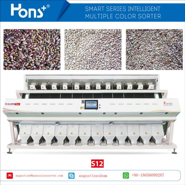 Maximum Capacity Beans Color Sorter Grains Processing machine