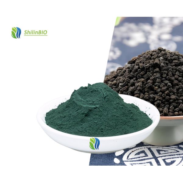 Factory Supply Water Soluble Sodium Copper Chlorophyllin Powder  Chlorophyll Powder