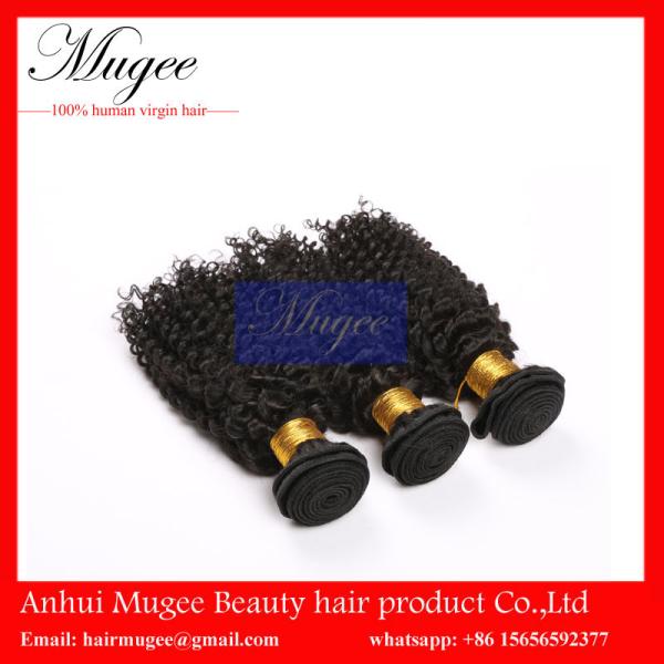 best curly hair product virgin human malaysian hair beautiful malaysian hair for women