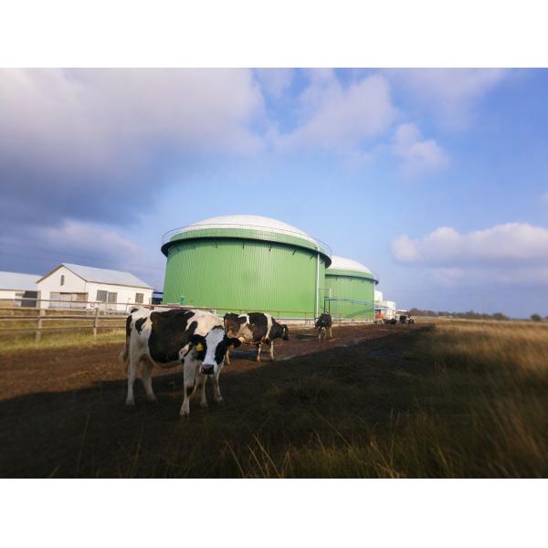 High Strength PVC Biogas Holder Balloon For Agricultural Waste Treatment