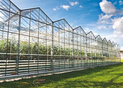 Solar Glass Greenhouse Low Heat Consumption Even Indoor Light Distribution