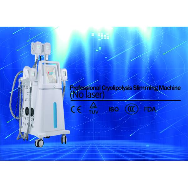 4 Handles Cryolipolysis Fat Freezing Machine With Silica Gel Head CE Certificated
