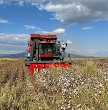 3-Row Cotton Harvester by Fmworld, High Efficiency Cotton Picking for Farmers