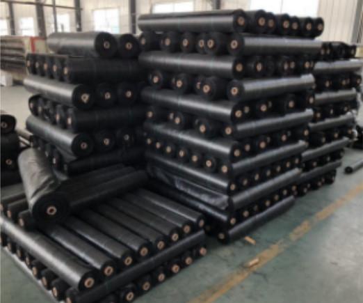 Anti-Moisture PP Woven Fabric,Gound Cover, Weed Control Fabric 100gsm