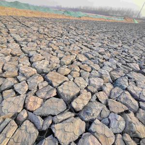 PVC Coated Gabion Basket Wall 2x1x0.5m with Q195 Steel Wire for Erosion Control