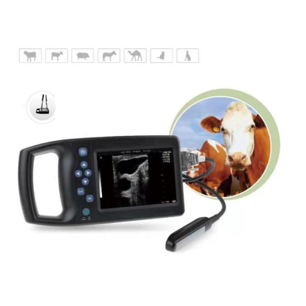 B 5.7 Inch Veterinary Ultrasound Portable Animal Enclosure Handheld Digital Veterinary Ultrasound Machines Veterinary Ultrasound Scanner
