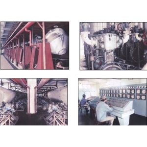 CHINA HUNAN KINSUN IMP. & EXP. CO., LTD.