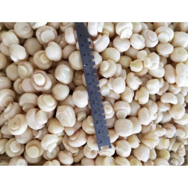 Legumbres de frutas conservadas de la seta del champiñón Champing rebanadas de la seta