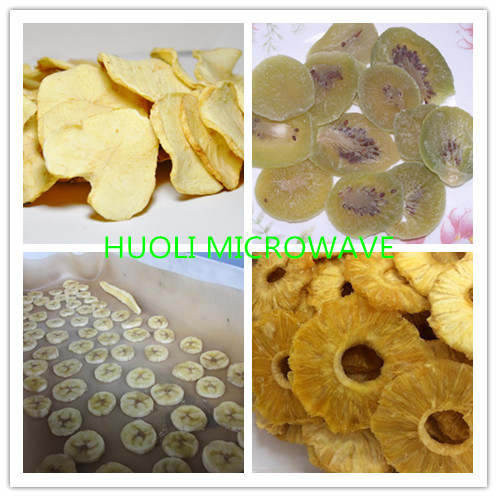 Stainless Steel Microwave Vacuum Drying Equipment For  HS 843880000