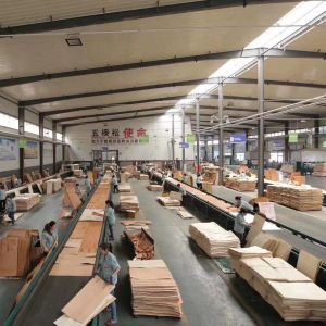 WORKSUN GROUP CO., LTD.