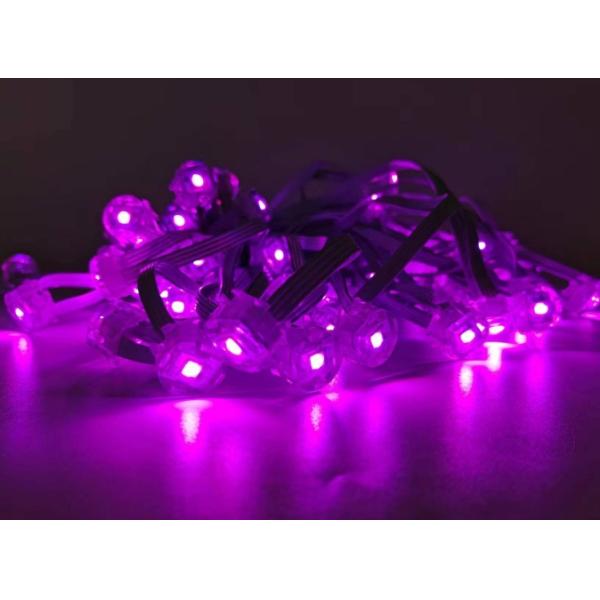 Led Lights LED Smart Lights Super Bright IP67 Halloween Christmas Party Daily Light
