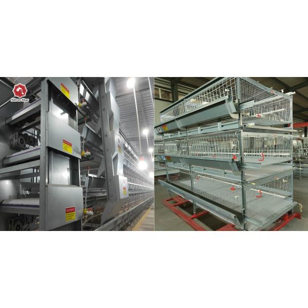 Автоматическая система батареи фермы в птице, оборудовании бройлера цыпленка HDG 150/200