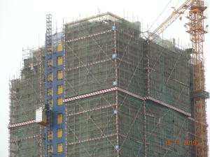 Cremalheira da construção e pinhão 46M/passageiro mínimo e grua material