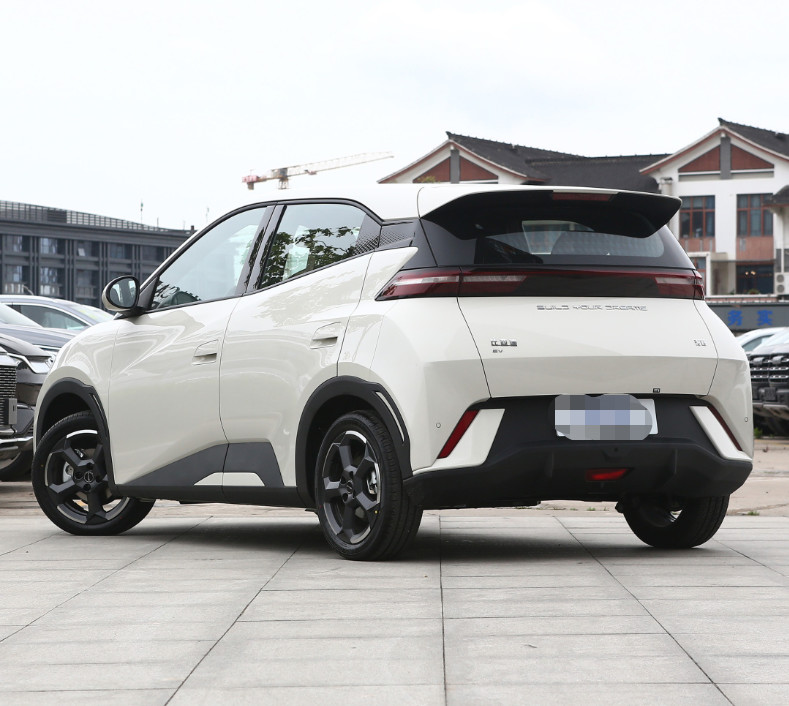 2023 новых свободных вариантов чайок BYD чистых электрических и используемых хэтчбека 4 мест