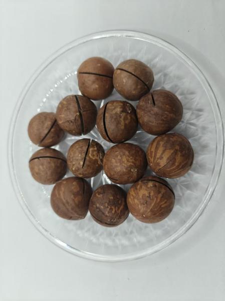 Delicious Natural Macadamia Nuts From In Plastic Bag