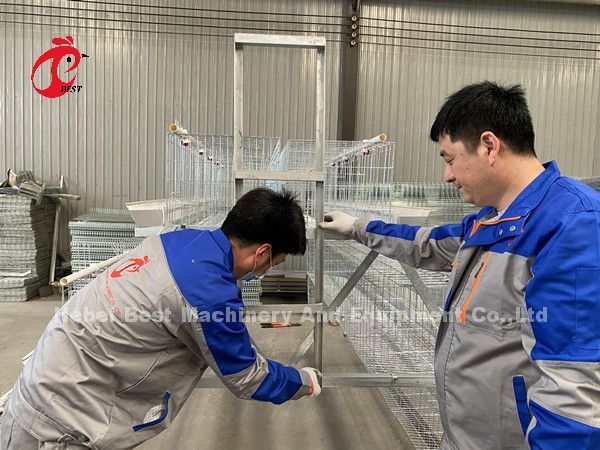 Система склада Нигерии наградная и делюкс птицы батареи клетки для цыплят Sandy слоя