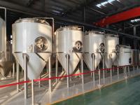 1000L Stainless Steel 304 Beer Fermentation Equipment Turnkey Project For Brewery System Conical Fermentation Tank