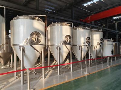 1000L Stainless Steel 304 Beer Fermentation Equipment Turnkey Project For Brewery System Conical Fermentation Tank