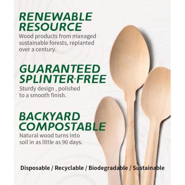 Package Size 100.00cm * 80.00cm * 60.00cm Natural Biodegradable Disposable Wooden Cutlery