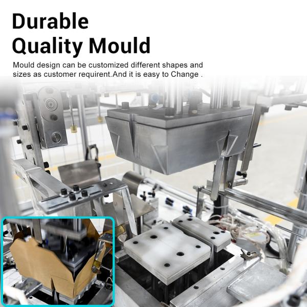 Two Compartments PE Coated Paper Lunch Box Forming Machine Automatic