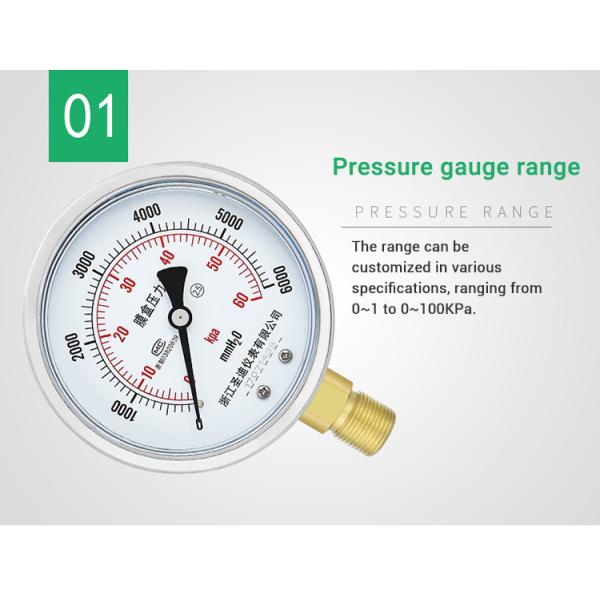 100mm Panel Manometer Pressure Gauge for Accurate Hydraulic Pressure Force Measurement
