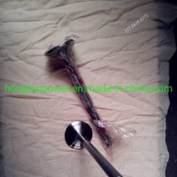 Jichai Chidong 190 Series Engine Parts for Intake Valve and Exhaust Valve 12VB. 03.22