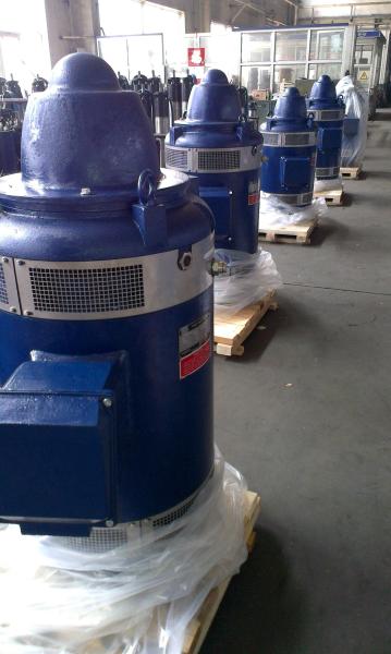 Vertical hollow shaft motor