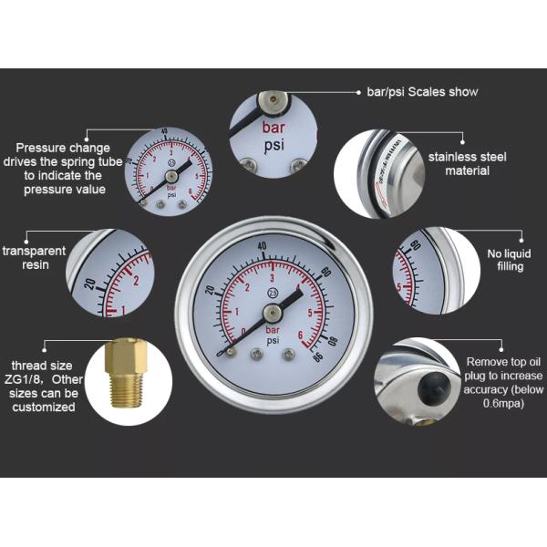 41.5mm Back Mounted Pressure Gauge for Water and Gas Applications in Biogas Systems