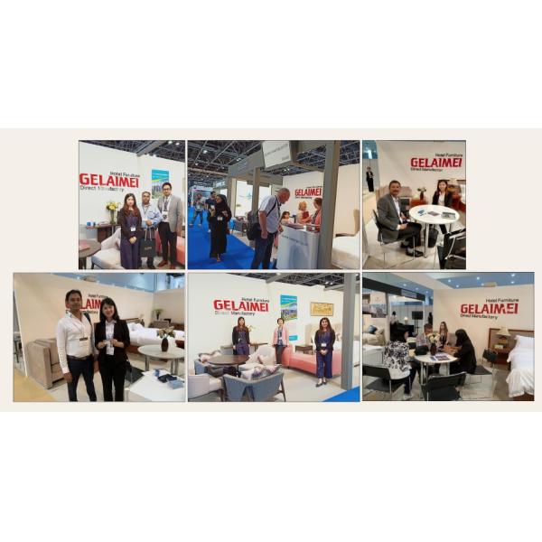 ODM blanco del OEM de los sistemas de los muebles de la sala de estar de los muebles del chalet del final de la laca