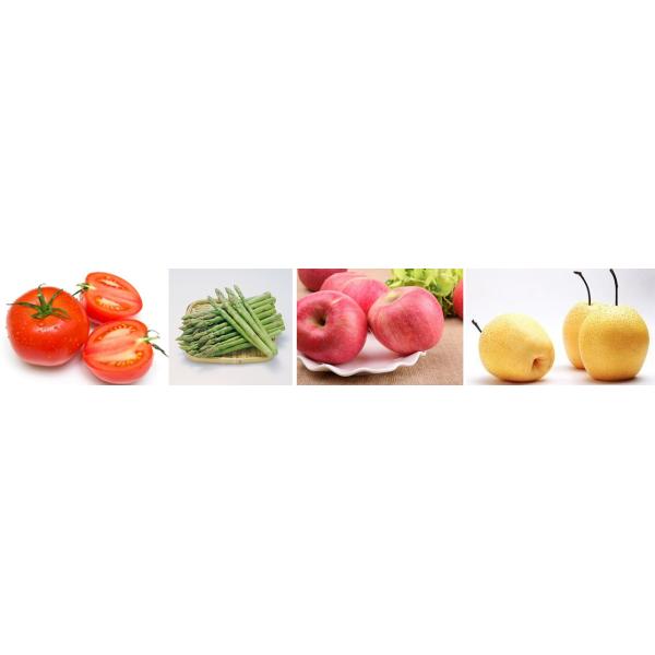 Healthy Fruit Paste Candy Making Machine, Industrial Fruit Vegetable Crusher/Breaker