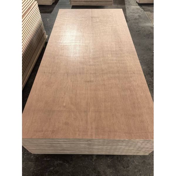 Planche de bois de haute qualité pour utilisation en conteneur