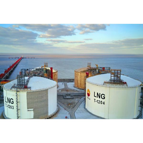39W Electric Heat Tracing For Liquefied Natural Gas Industry
