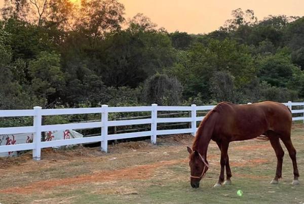 Heavy Duty 3Rails PVC Horse Fence for Farms and Ranches