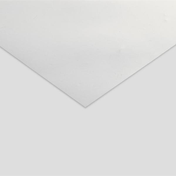 Biodegradable PLA Sheet Roll Clear Food Grade PLA Sheet For Trays