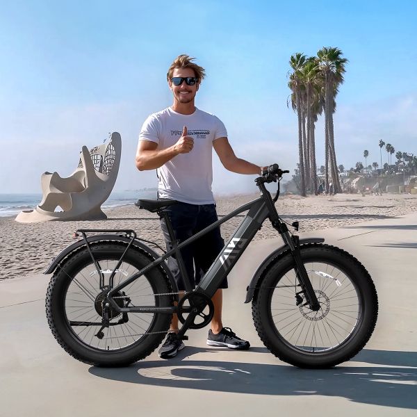 TST Defender 26 Inch Road Bike Fatbike Mountain Electric Bike Electric Cycles for Men 1200W Rear Hub Motor Electric Hybrid Bike