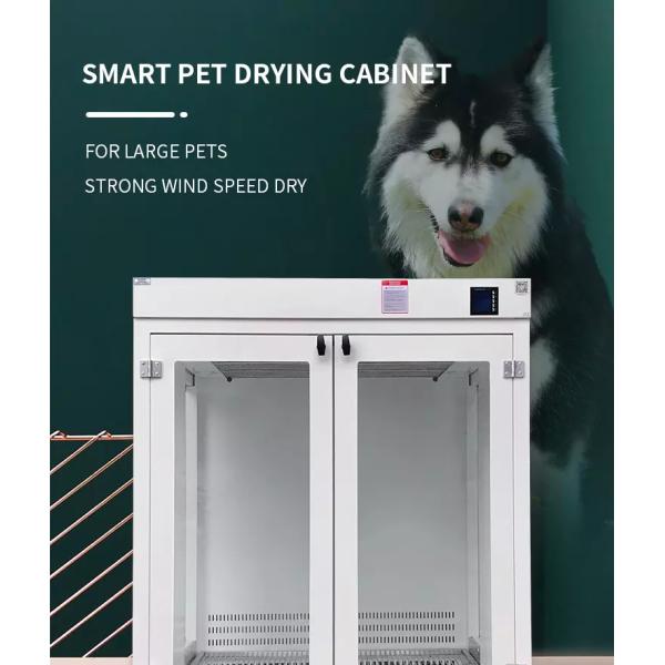 Белая машина 8000m3/H фена для волос любимца 220V 5000W