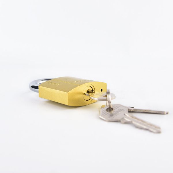 20mm Durable High Quality Brass Cylinder Spray-paint Arc Type Iron Padlock with 3 Keys ISO9001 Certified