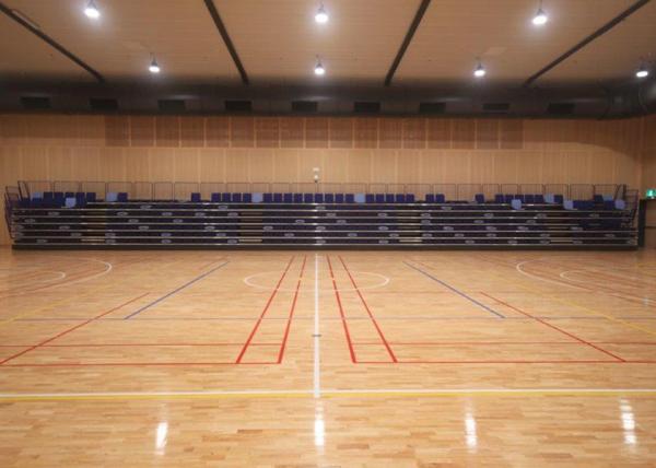 Multi - Tiered Telescopic Seating Systems Manual / Power Operation With Custom Seat Colors
