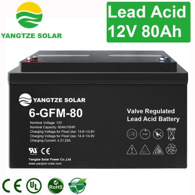 High Performance 12V 80Ah AGM Battery AGM Deep Cycle RV Battery 14.4V~14.7V