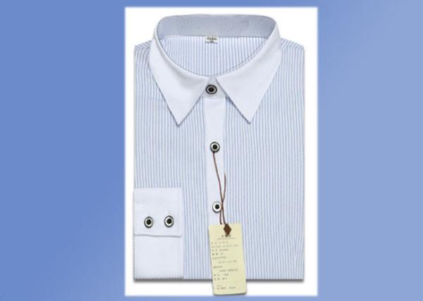 Modern Office Slim Long Sleeve Work Uniform Lady Blue White Striped Shirt