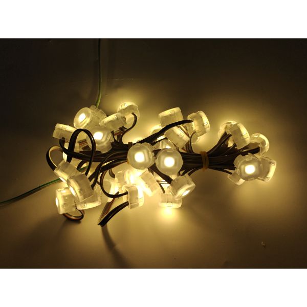 19.83mm 12V SMD3535 IP67 0.3W Waterproof LED Point Light Flexible 120 Beam Angle PC Material Lighting