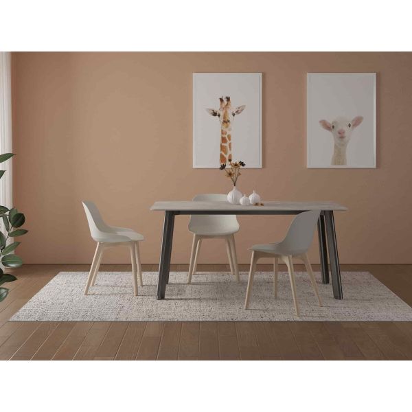 Modern Armless Restaurant Chair PP Shell Solid Ash Wood Legs For Dining Cafe