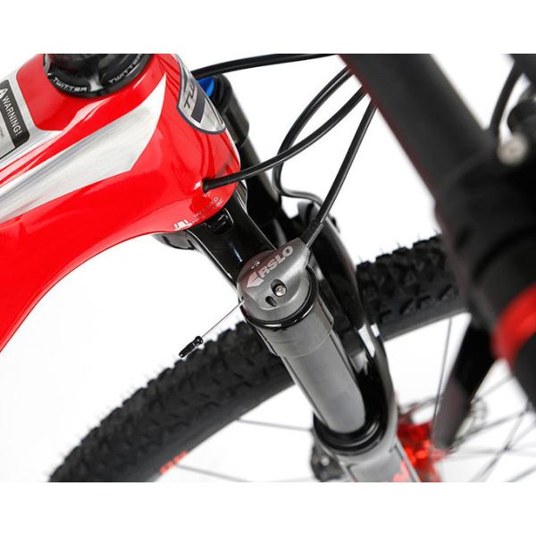 Twitter Bike STORM 2.0 Carbon Fiber Mountain Bike 29er For Cycling