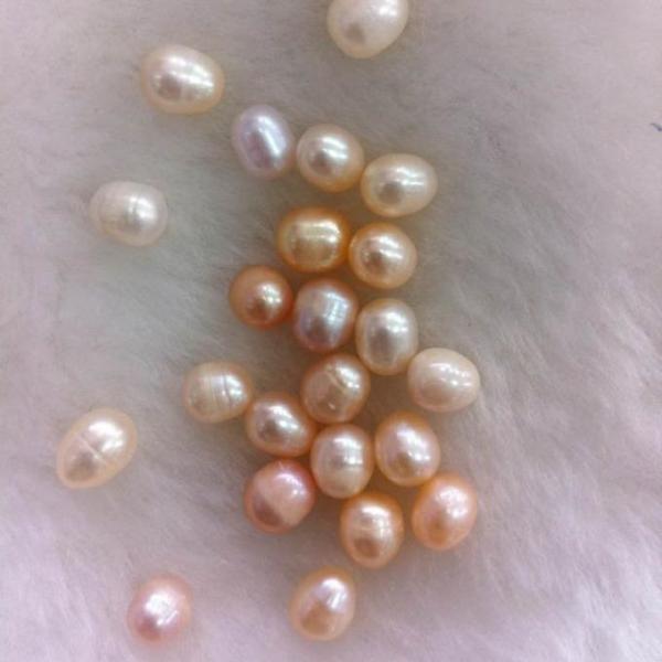 AAA grade,Vacumm packed Freshwater Cultured pearl Oysters with White/Gold/Purple/black/pink,6-7mm,7-8mm