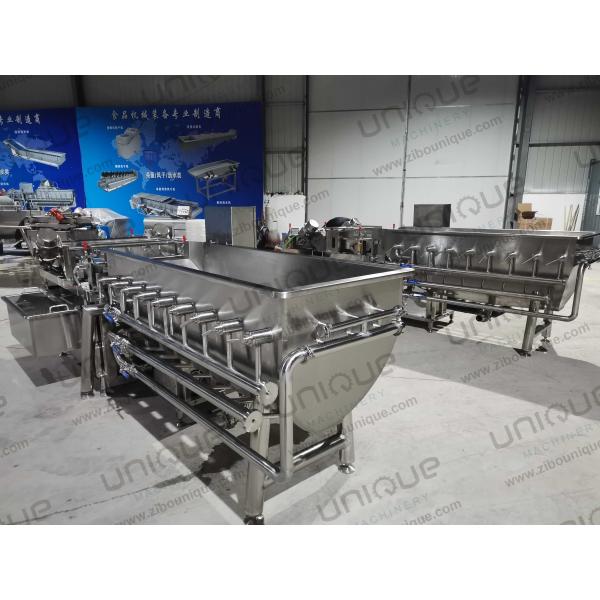 2021 Stainless Steel 316 Leafy Vegetable Production Line for Cabbage Washing Machine