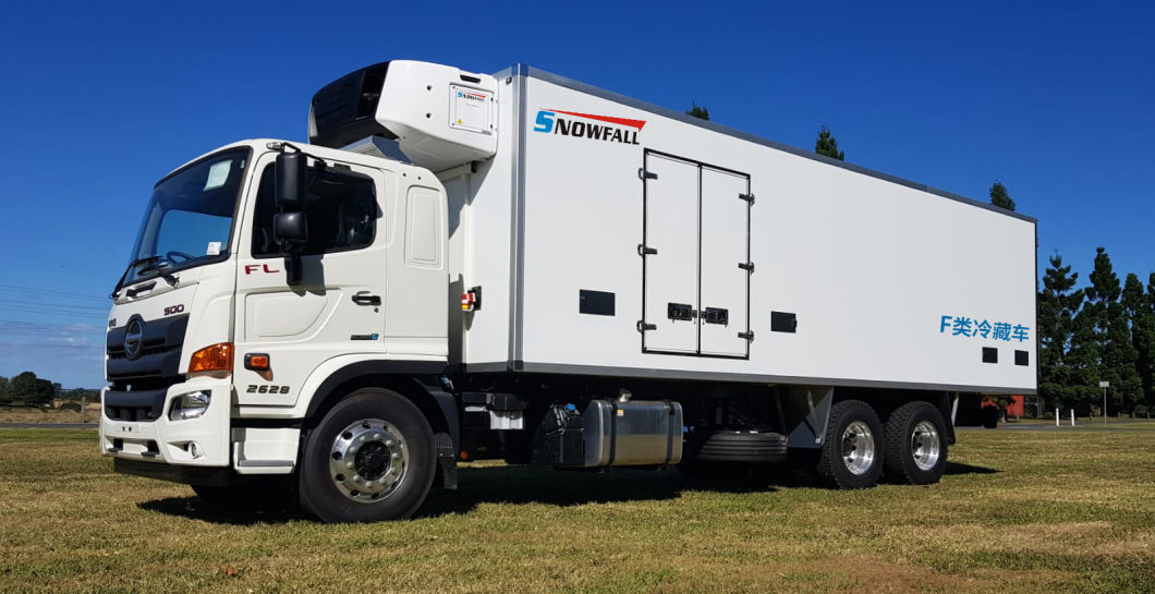 Production Formed at High Pressure by Cacuum Technonigy of Ge Snowfall FRP Truck Body