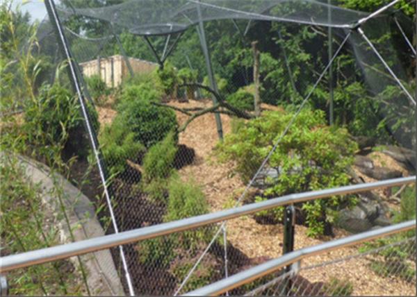 Wear Resisting Stainless Steel Cable Trellis Mesh For Green Wall Foundation