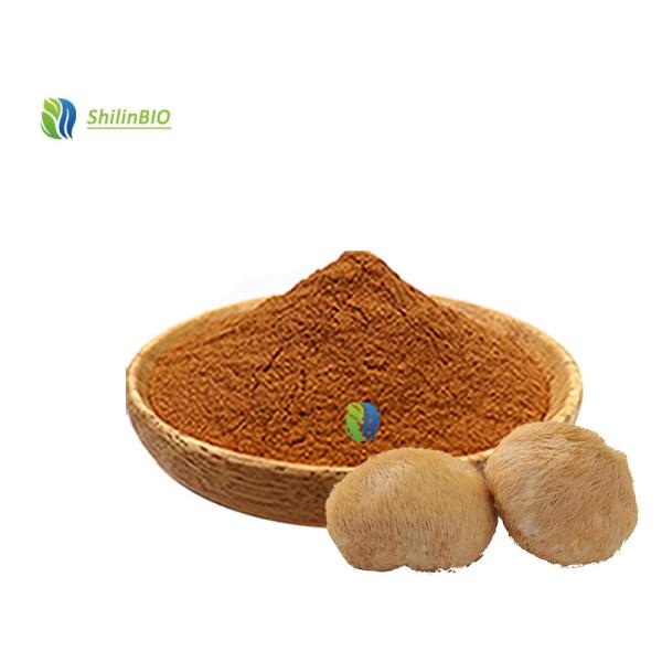 Mejor precio Hericium erinaceus polvo de grado alimenticio a granel Leones de melena polvo de melena de león puro polvo de hongos